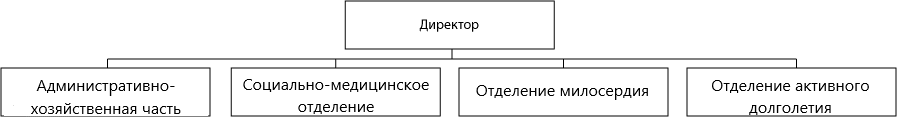 Структура ГБУ «Чкаловский дом-интернат для престарелых и инвалидов»