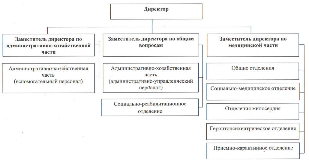 Структура ГБУ «Борский психоневрологический интернат»