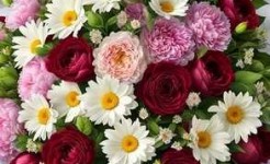 Поздравляем с Днем Рождения получателя социальных услуг.