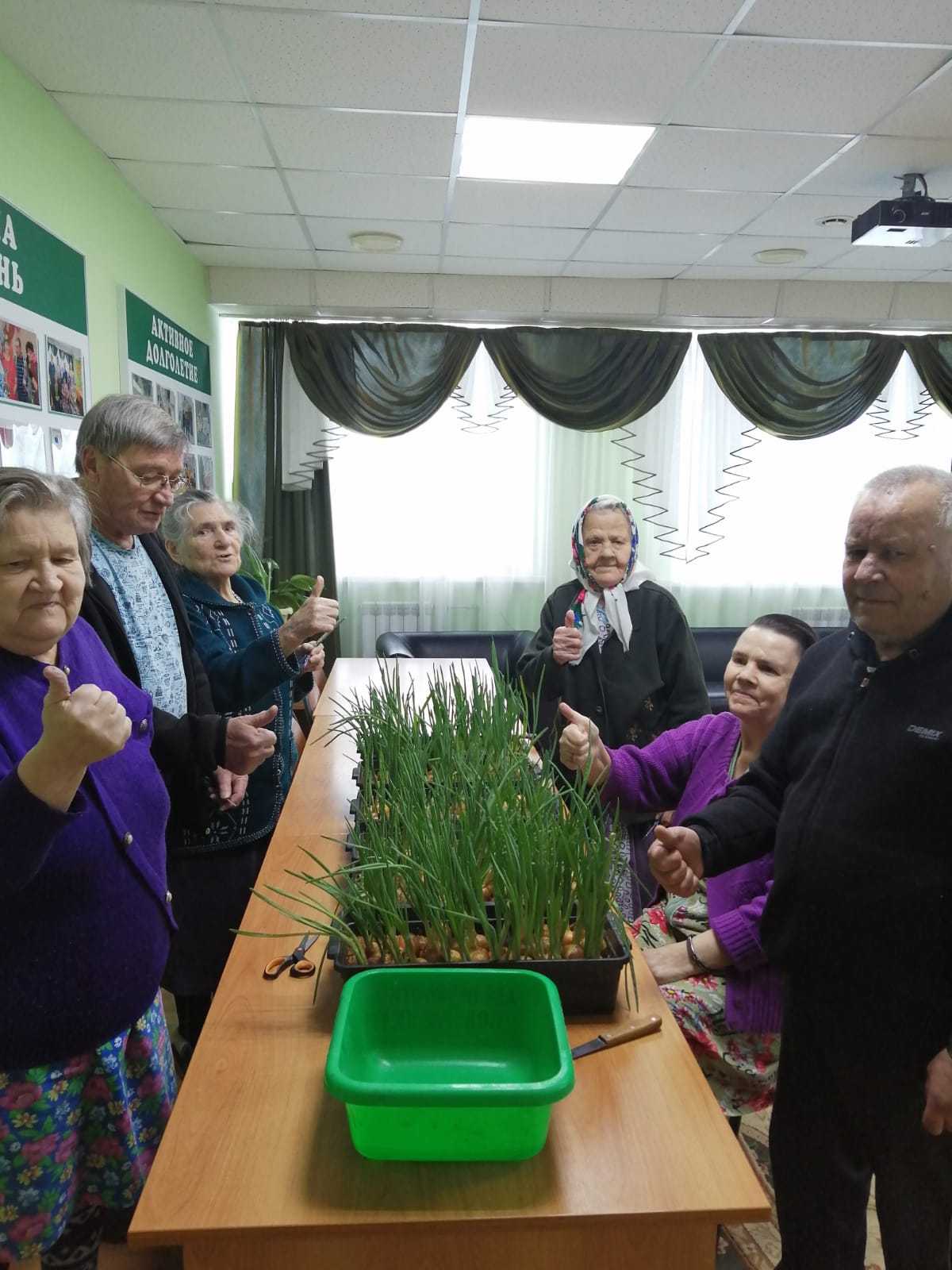 Сбор посаженного урожая