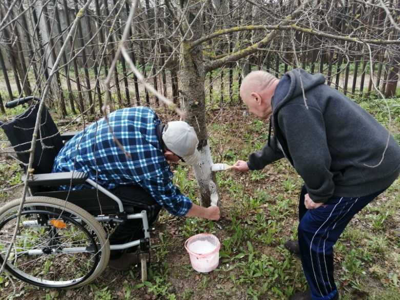 Трудотерапия