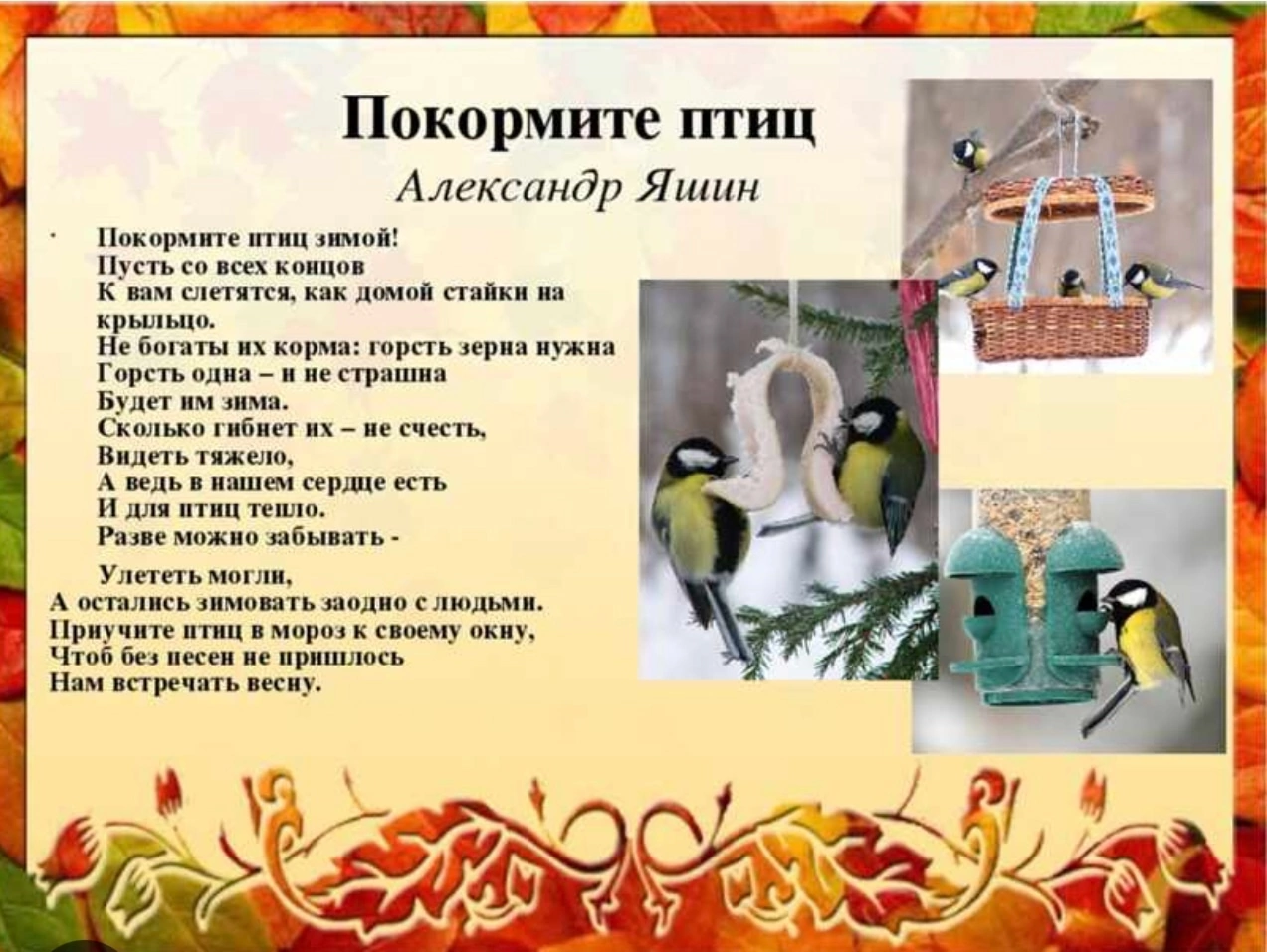 Победители областной акции 