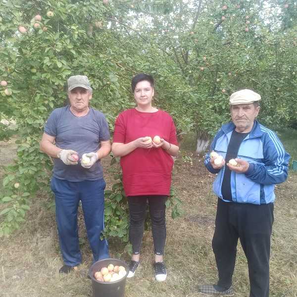 Терапия трудом.
