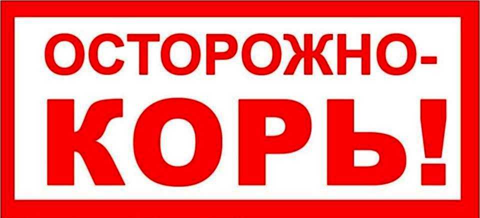 Нестабильная эпидимиологическая ситуация по заболеваимости корью