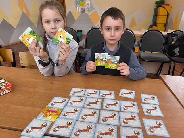 Уличная безопасность: встреча с бездомными животными