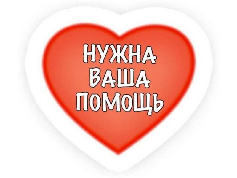 Нужна ваша помощь!
