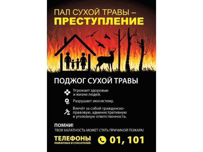 Пал сухой травы - преступление