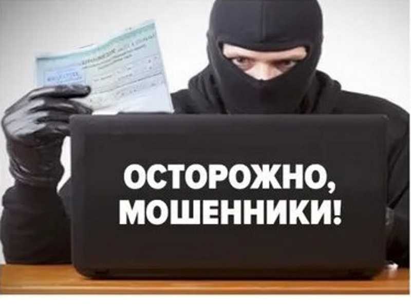 Хочу помогать: как не попасться мошенникам