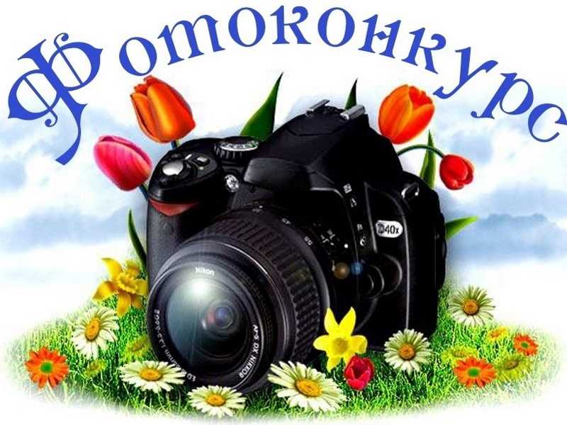 Областной конкурс фотографий 