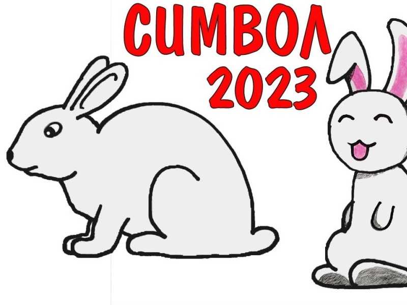 Областной конкурс костюмов Кролика «Символ года – 2023»