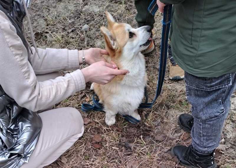 Когда мои друзья со мной