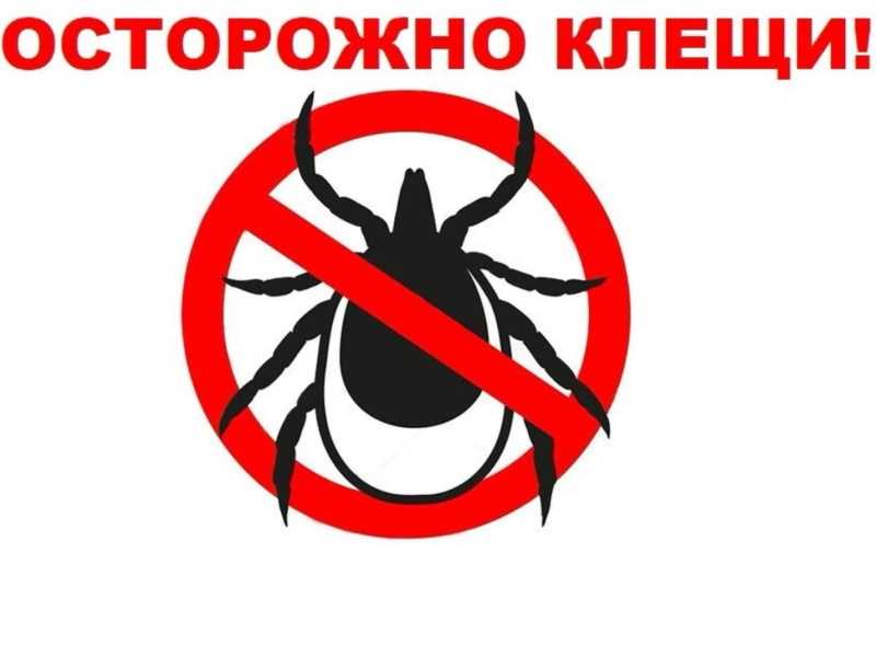 Будь на чеку - клещ атакует!