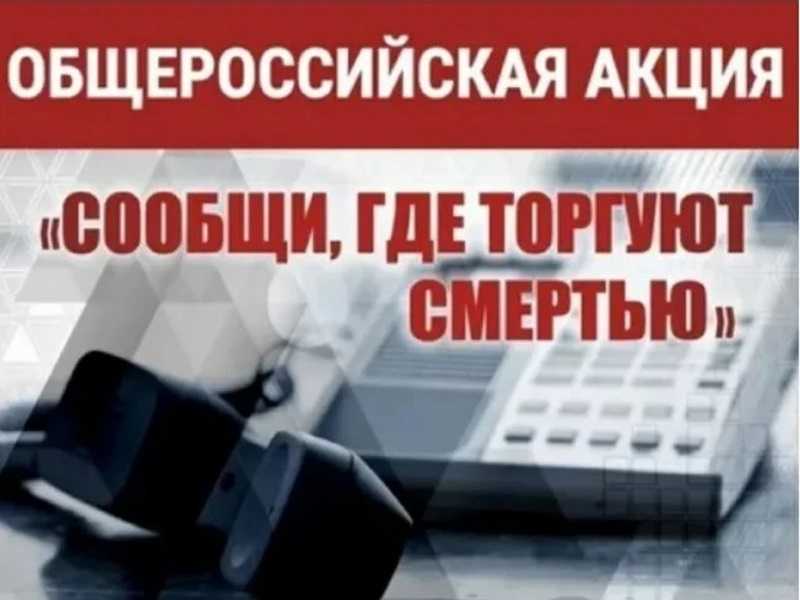 Сообщи, где торгуют смертью