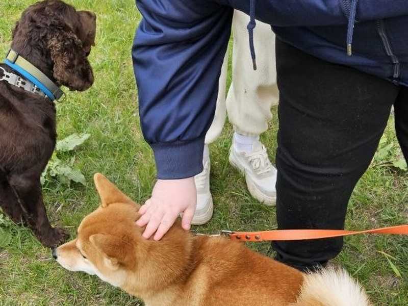 Встреча с кинологами