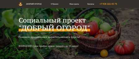 Социальный проект 