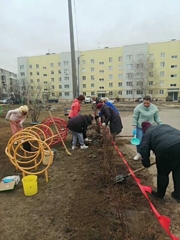 Субботник