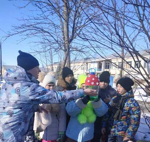 Покормите птиц весной!