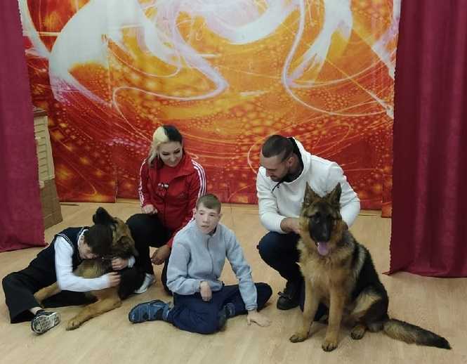 Четвероногие друзья