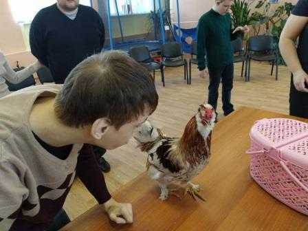 Хвостатые доктора