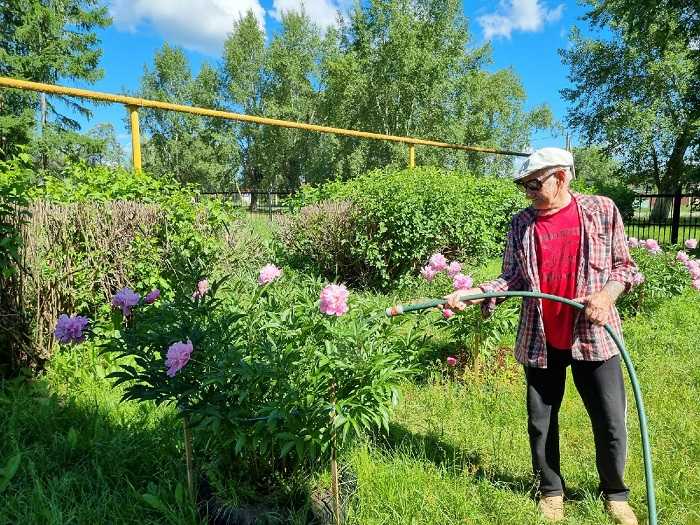 Занятия по трудотерапии