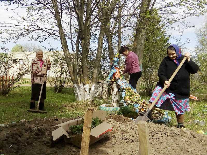 В учреждении прошёл субботник