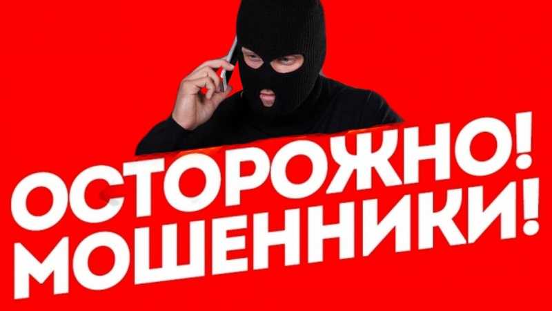 Ролики по кибермошенничеству