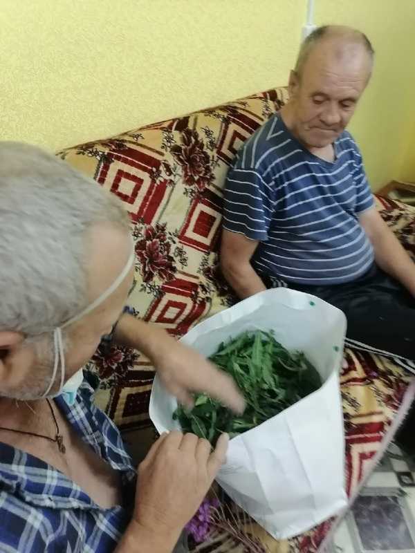 Напиток здоровья
