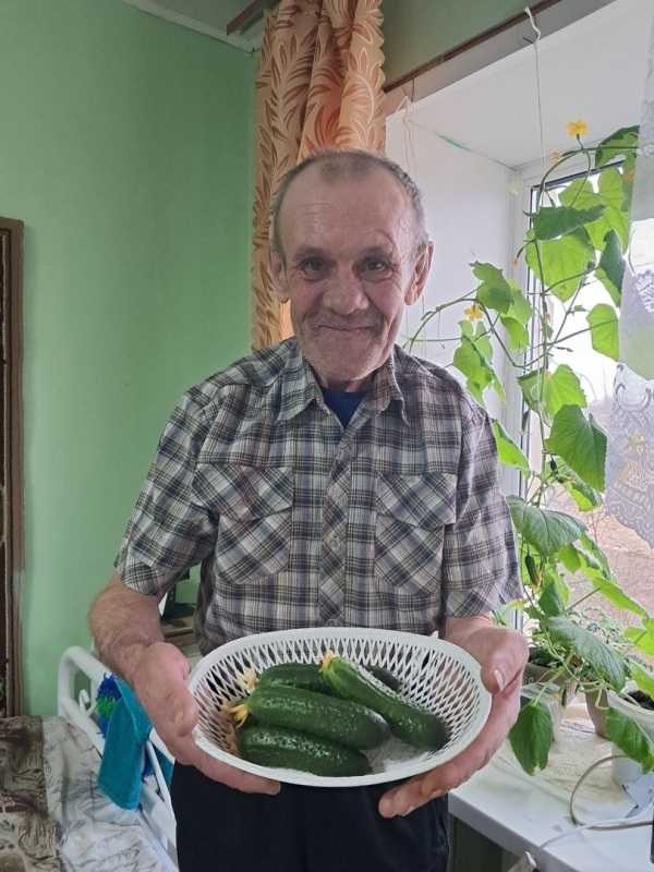 Урожай на окошке!