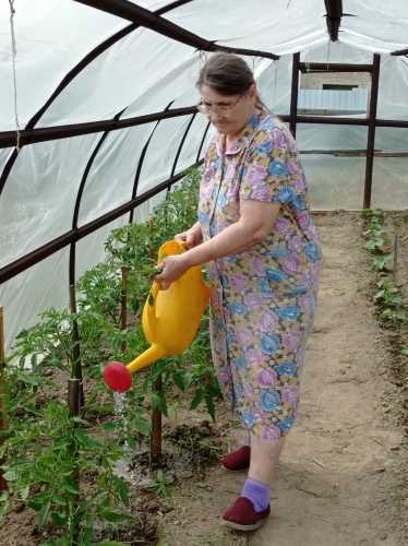 занятия