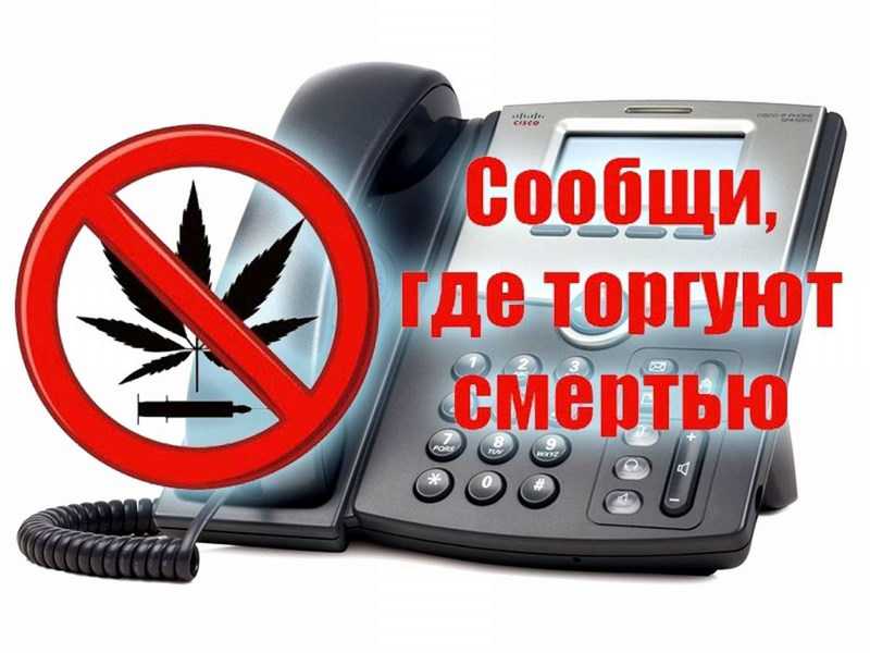 «Сообщи, где торгуют смертью — 2023»
