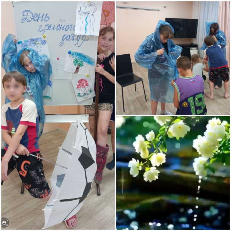 День Грибного дождя