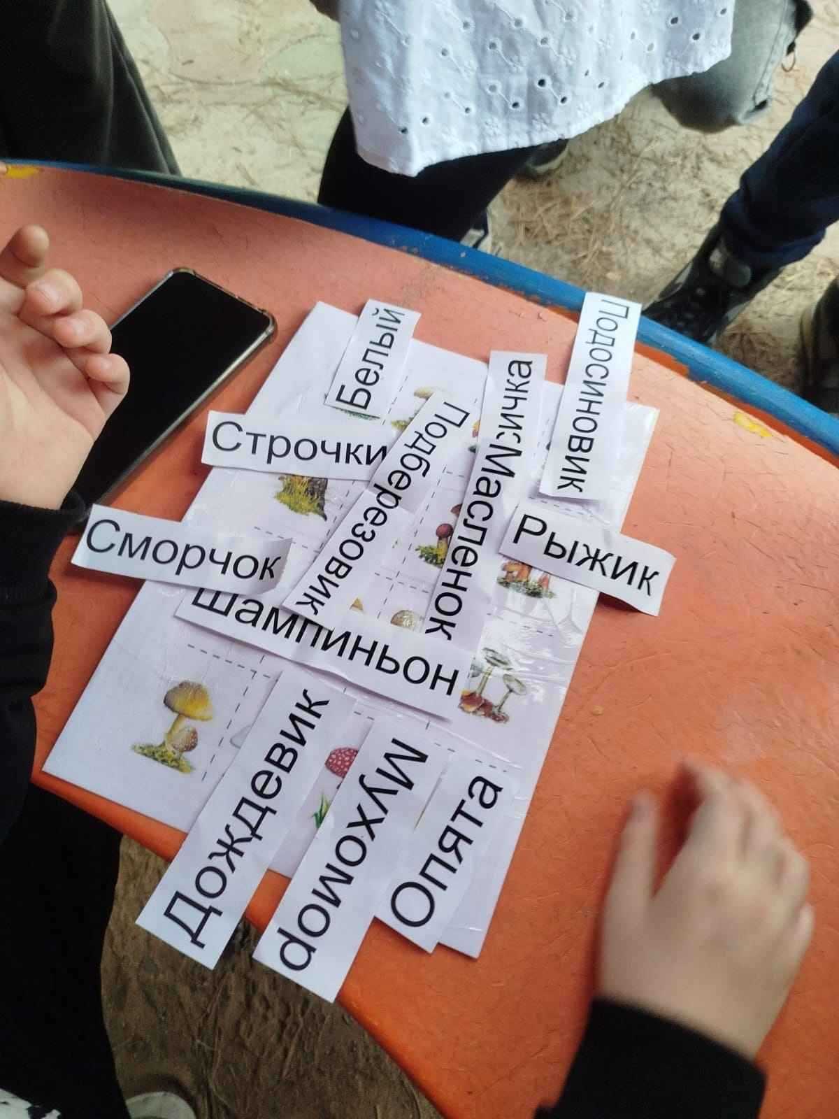 Квест-игра 
