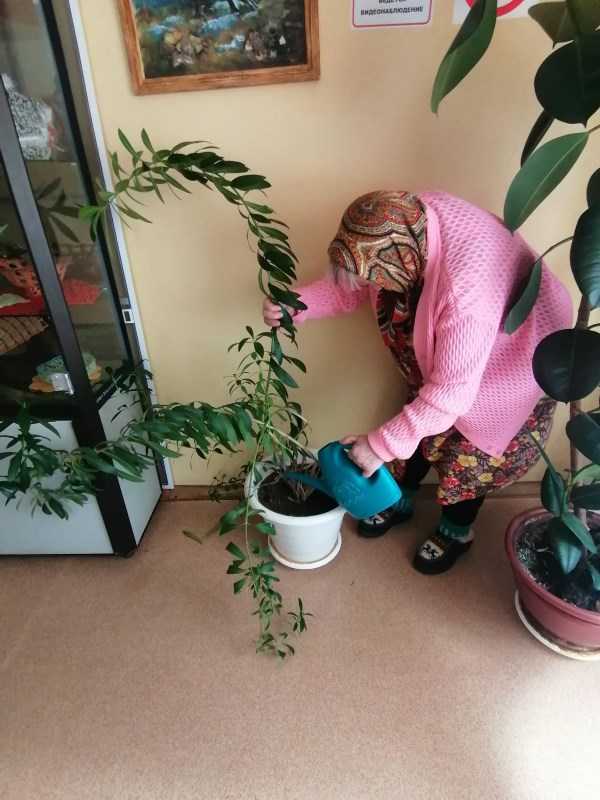 Занятие по гарденотерапии