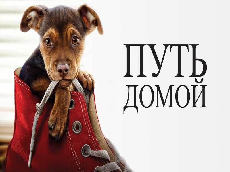 Просмотр фильма