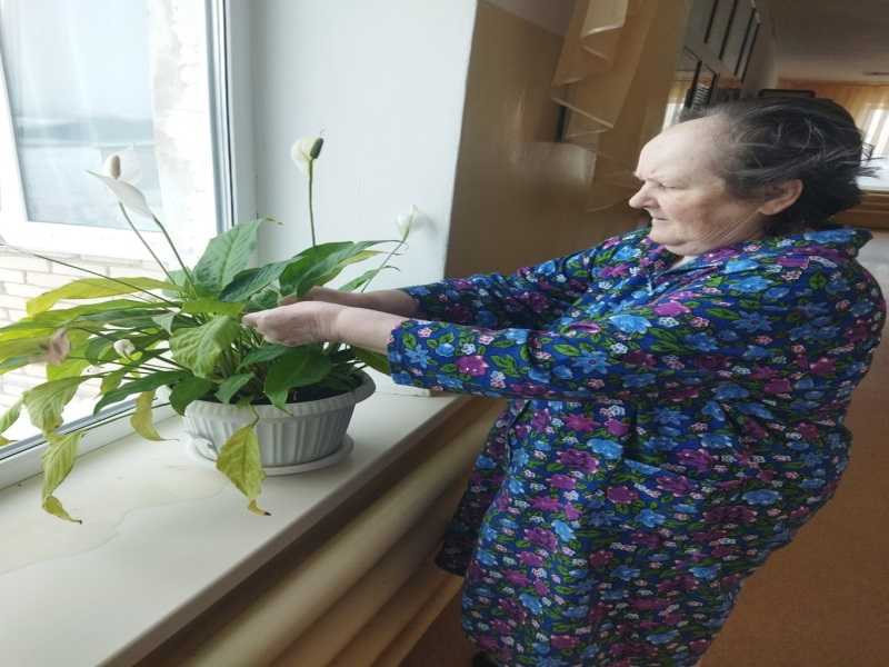 Фитотерапия.
