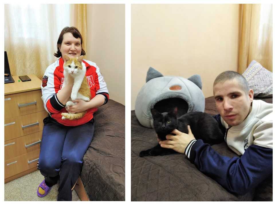 День домашних животных