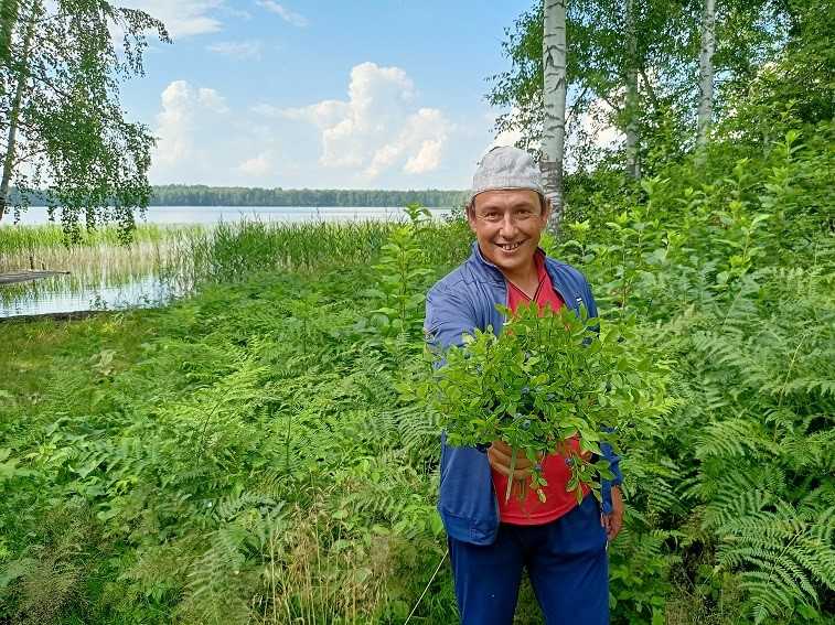 Отдых на берегу озера