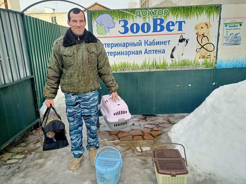 Забота и уход за домашними животными