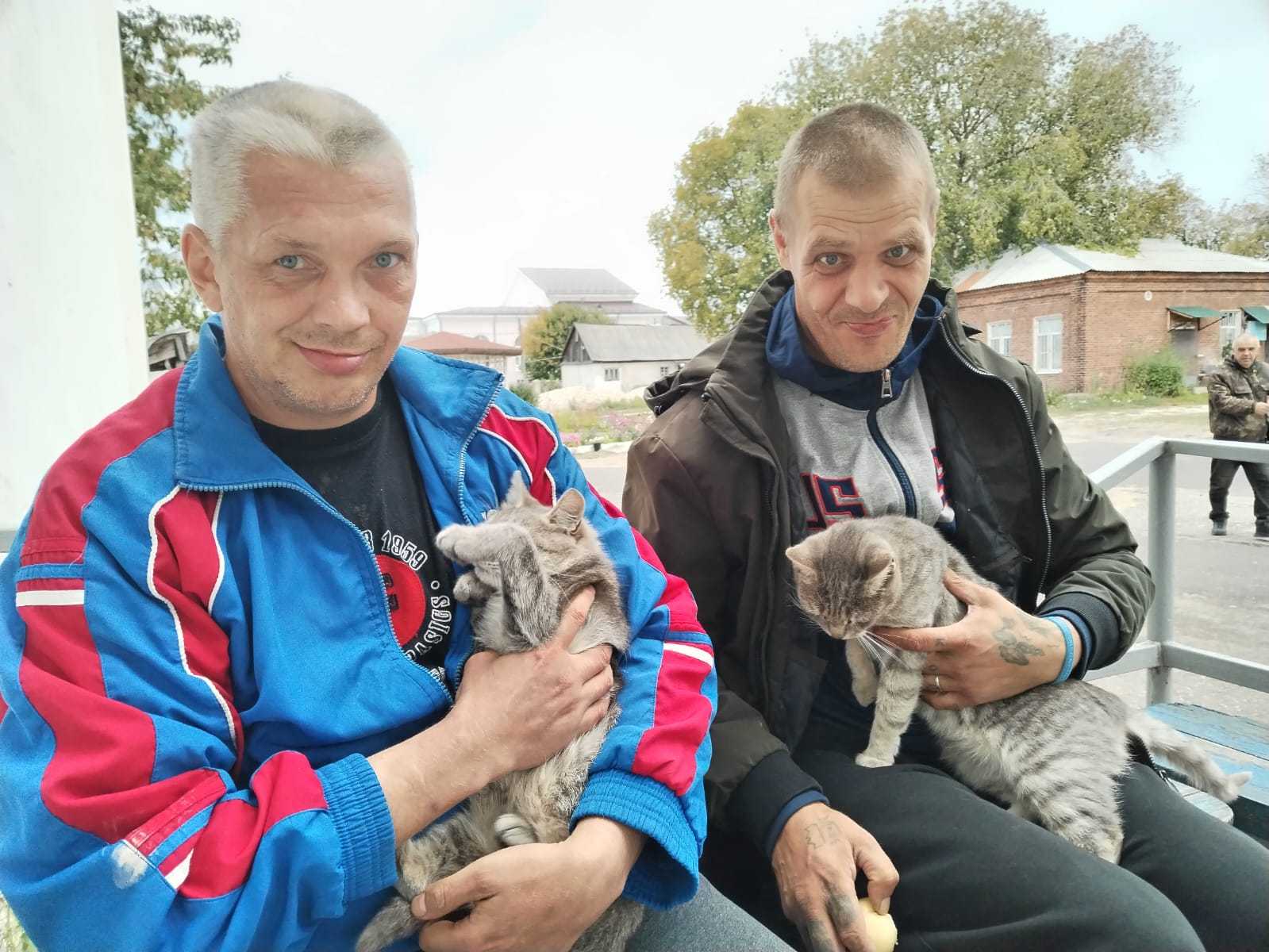 В мире животных!
