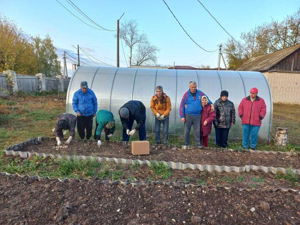 Наш любимый огород!