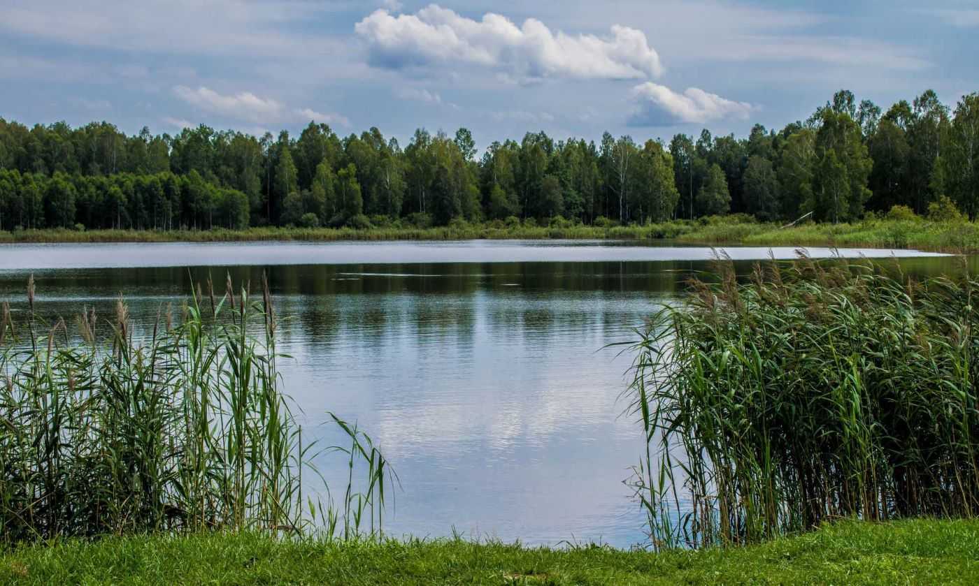 Пешая прогулка на озеро