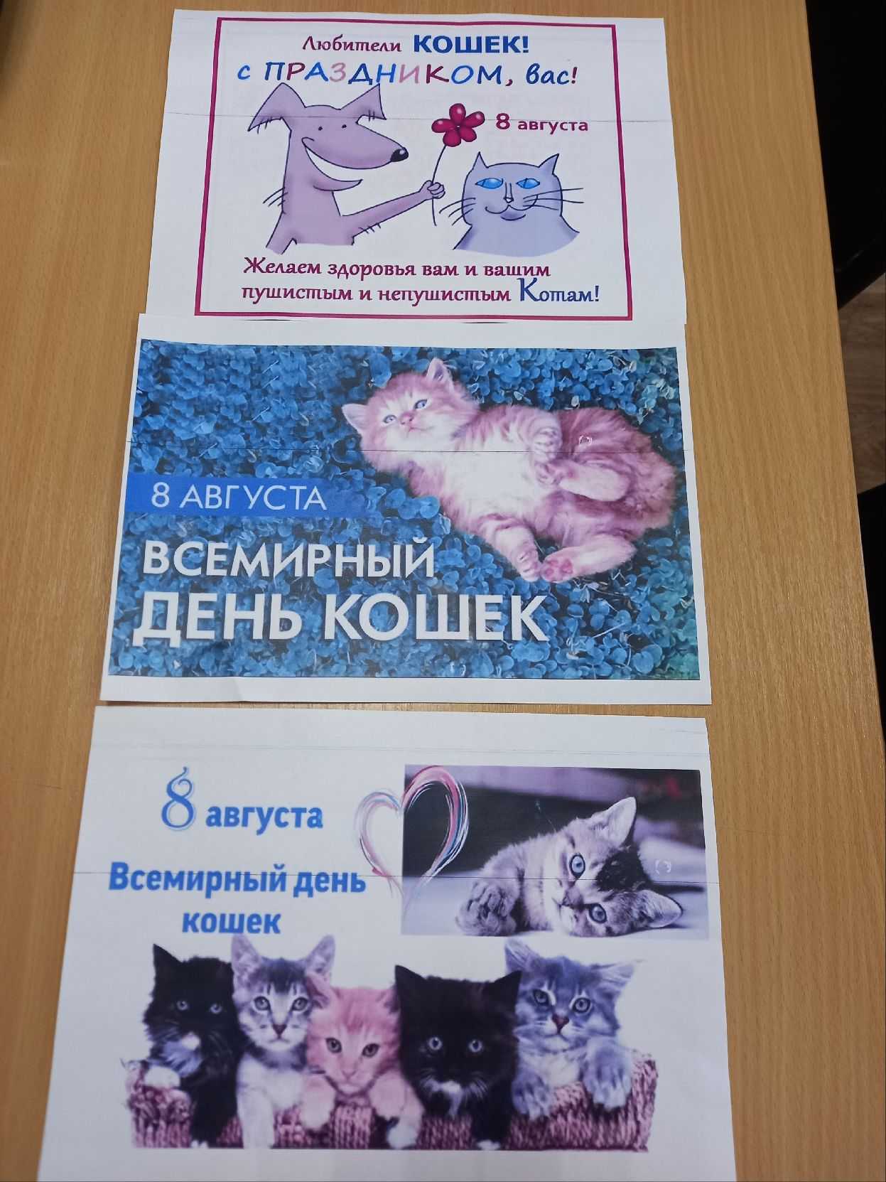 Международный день кошек.