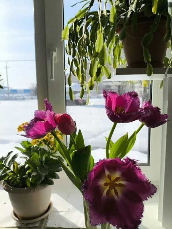 Профессиональный праздник