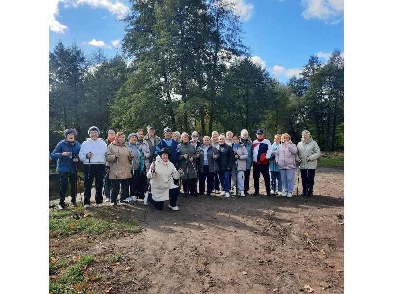 Прогулка со скандинавскими палками