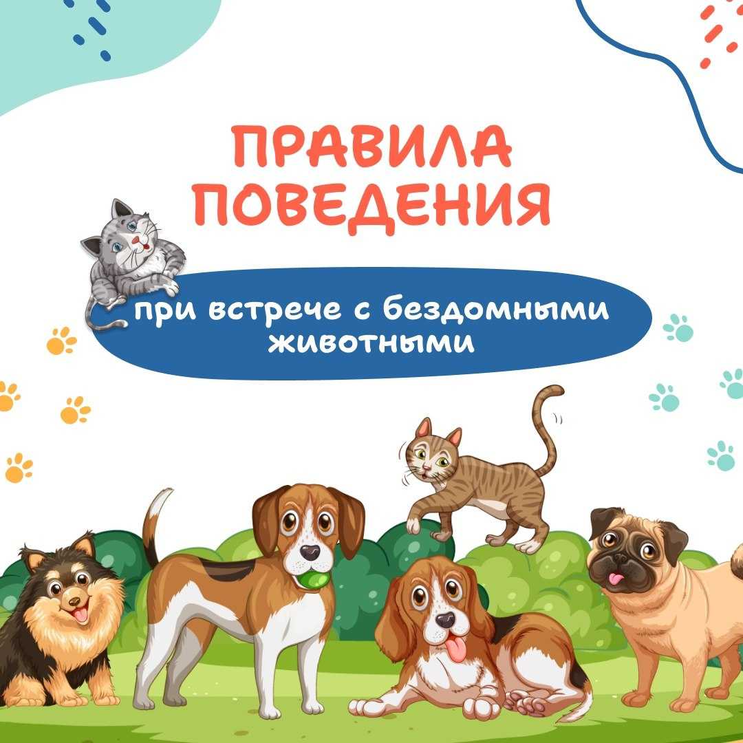 Безопасность детства! Бродячая угроза!