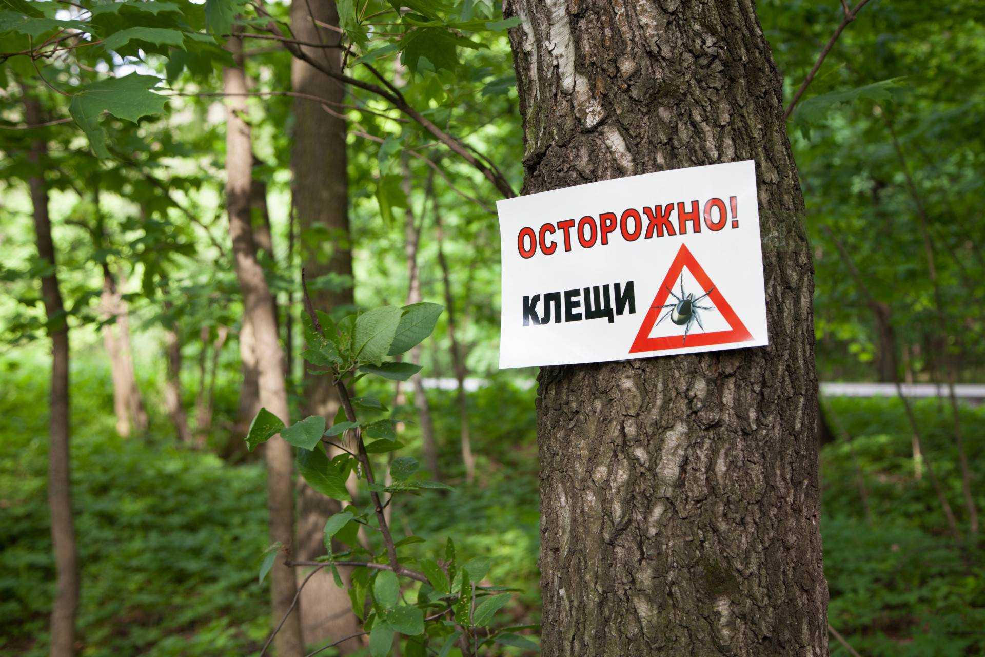 Осторожно! Клещ!