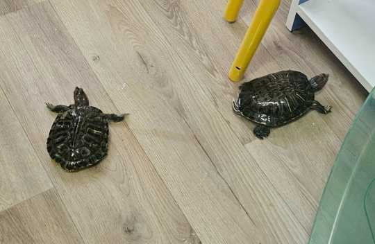 Информация!