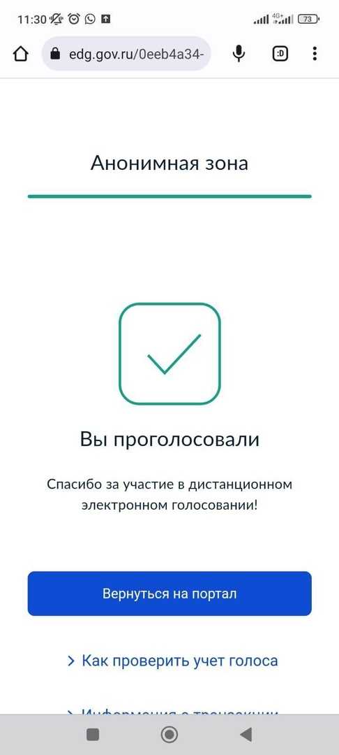 День голосований