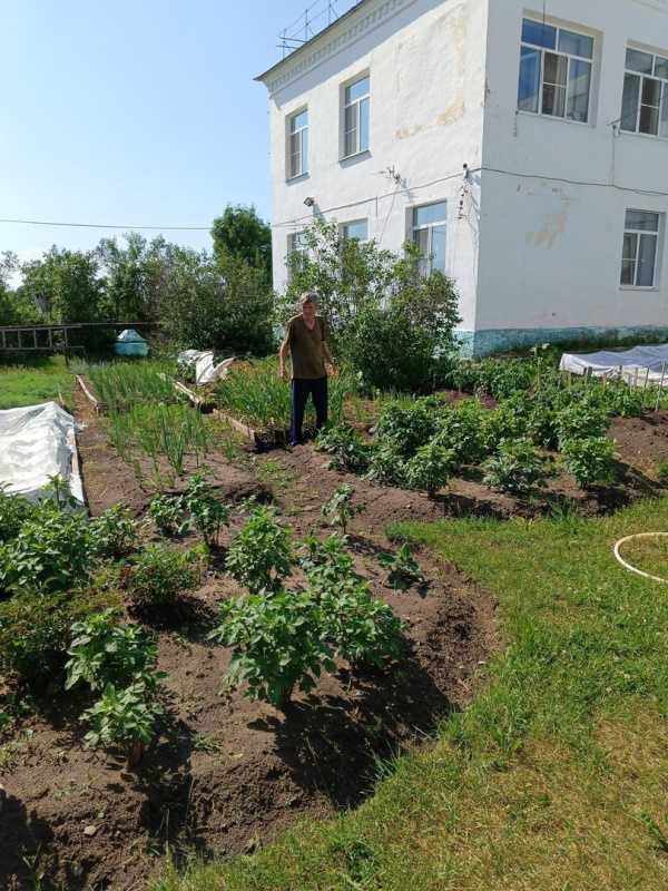 Огородные хлопоты
