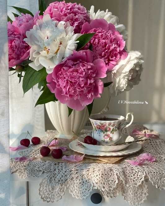 Поздравляем с Днем Рождения получателя социальных услуг.